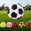 footbag ball 006